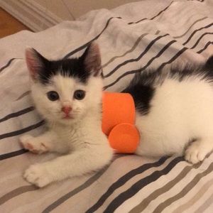 Meet your Posher, Stephanie